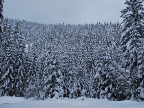 Kliknij na zdjęcie, żeby zobaczyć w pełnych wymiarach