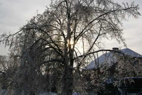 Kliknij na zdjęcie, żeby zobaczyć w pełnych wymiarach