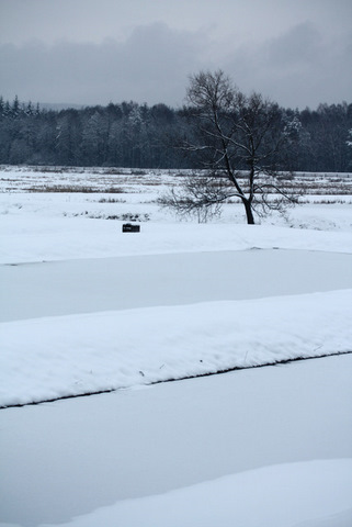 Kliknij na zdjęcie, żeby zobaczyć w pełnych wymiarach