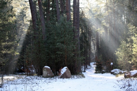 Kliknij na zdjęcie, żeby zobaczyć w pełnych wymiarach