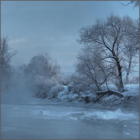 Kliknij na zdjęcie, żeby zobaczyć w pełnych wymiarach