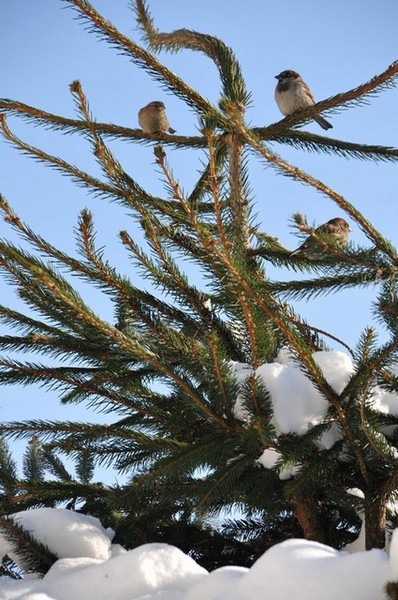 Kliknij na zdjęcie, żeby zobaczyć w pełnych wymiarach