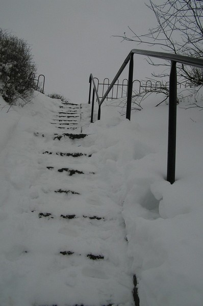 Kliknij na zdjęcie, żeby zobaczyć w pełnych wymiarach