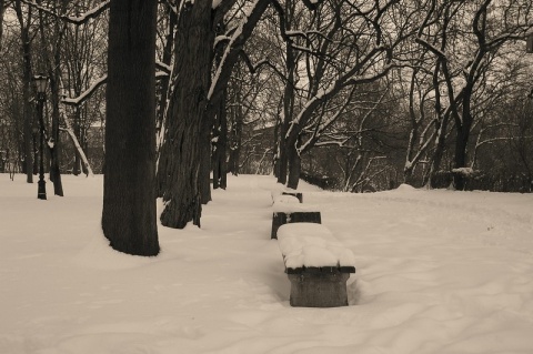 Kliknij na zdjęcie, żeby zobaczyć w pełnych wymiarach