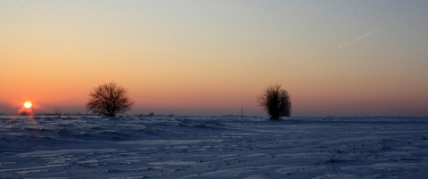 Kliknij na zdjęcie, żeby zobaczyć w pełnych wymiarach