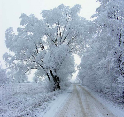 Kliknij na zdjęcie, żeby zobaczyć w pełnych wymiarach