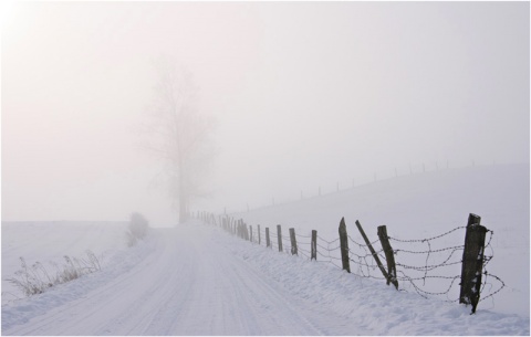 Kliknij na zdjęcie, żeby zobaczyć w pełnych wymiarach