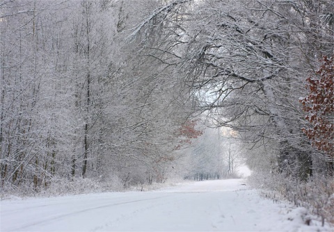 Kliknij na zdjęcie, żeby zobaczyć w pełnych wymiarach