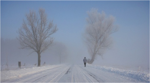 Kliknij na zdjęcie, żeby zobaczyć w pełnych wymiarach