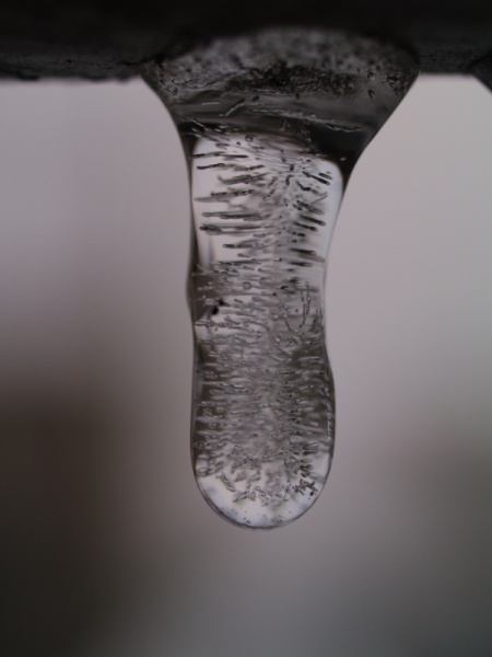 Kliknij na zdjęcie, żeby zobaczyć w pełnych wymiarach