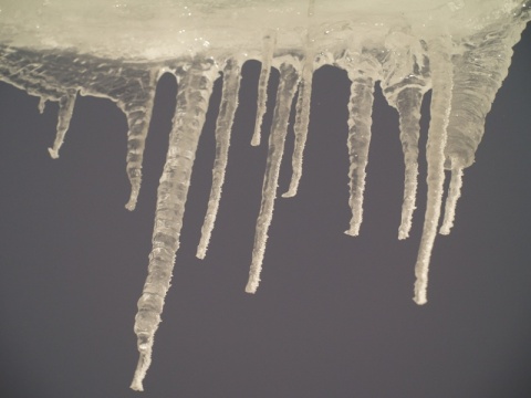 Kliknij na zdjęcie, żeby zobaczyć w pełnych wymiarach