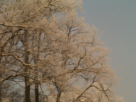 Kliknij na zdjęcie, żeby zobaczyć w pełnych wymiarach