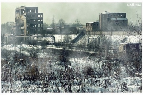 Kliknij na zdjęcie, żeby zobaczyć w pełnych wymiarach