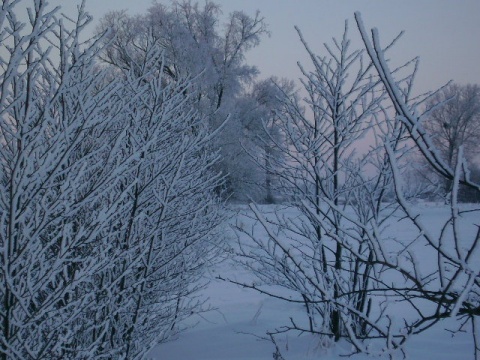 Kliknij na zdjęcie, żeby zobaczyć w pełnych wymiarach