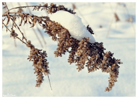 Kliknij na zdjęcie, żeby zobaczyć w pełnych wymiarach