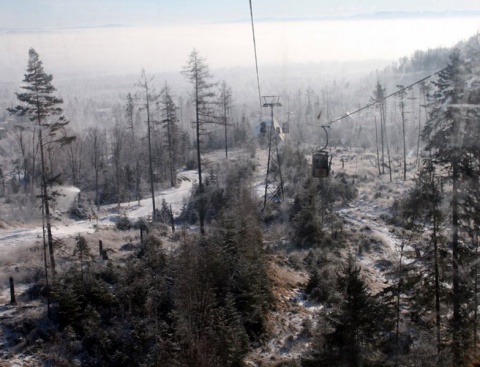 Kliknij na zdjęcie, żeby zobaczyć w pełnych wymiarach