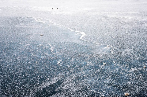 Kliknij na zdjęcie, żeby zobaczyć w pełnych wymiarach