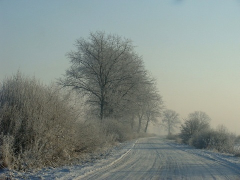 Kliknij na zdjęcie, żeby zobaczyć w pełnych wymiarach