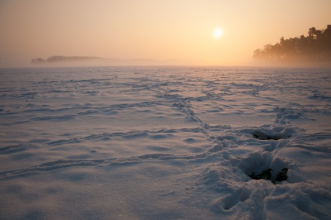 Kliknij na zdjęcie, żeby zobaczyć w pełnych wymiarach