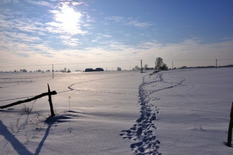 Kliknij na zdjęcie, żeby zobaczyć w pełnych wymiarach