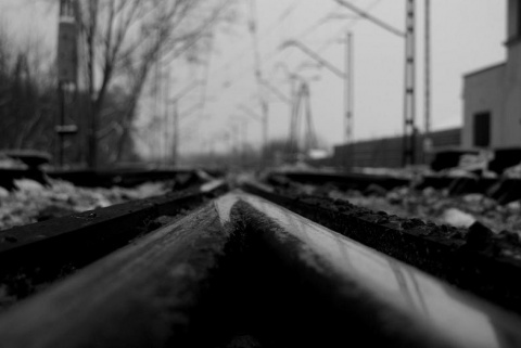 Kliknij na zdjęcie, żeby zobaczyć w pełnych wymiarach