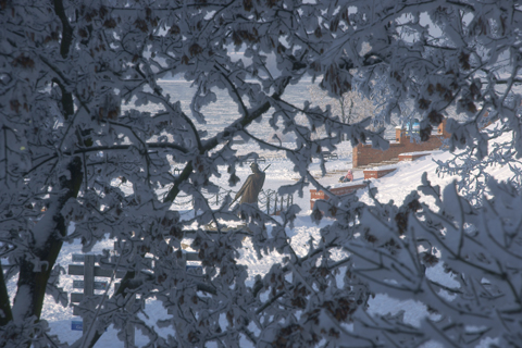 Kliknij na zdjęcie, żeby zobaczyć w pełnych wymiarach