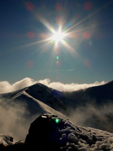 Kliknij na zdjęcie, żeby zobaczyć w pełnych wymiarach
