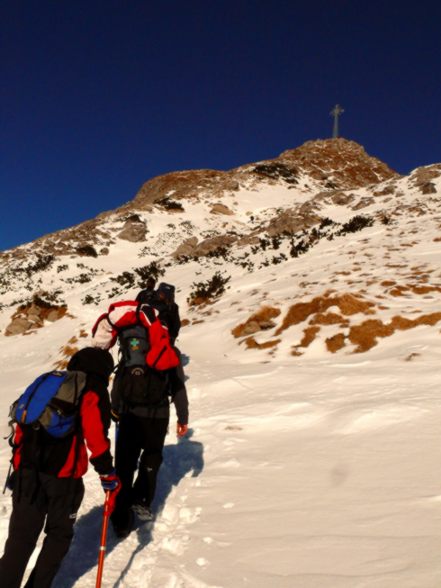 Kliknij na zdjęcie, żeby zobaczyć w pełnych wymiarach