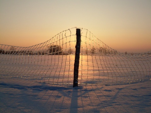 Kliknij na zdjęcie, żeby zobaczyć w pełnych wymiarach