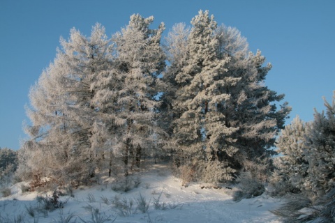 Kliknij na zdjęcie, żeby zobaczyć w pełnych wymiarach