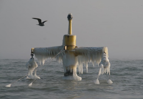 Kliknij na zdjęcie, żeby zobaczyć w pełnych wymiarach