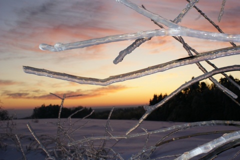 Kliknij na zdjęcie, żeby zobaczyć w pełnych wymiarach