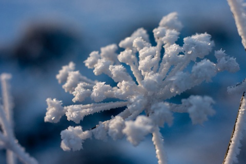 Kliknij na zdjęcie, żeby zobaczyć w pełnych wymiarach