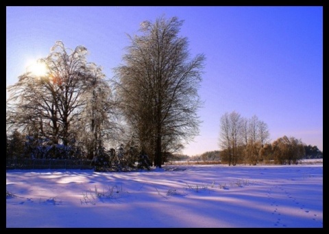 Kliknij na zdjęcie, żeby zobaczyć w pełnych wymiarach