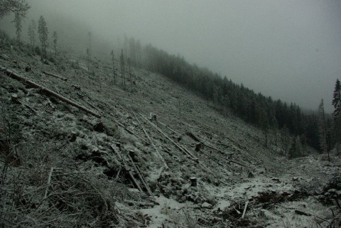 Kliknij na zdjęcie, żeby zobaczyć w pełnych wymiarach