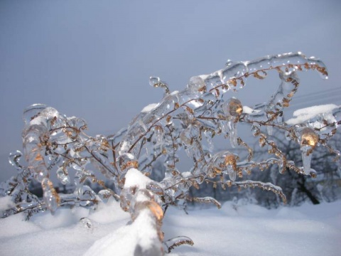 Kliknij na zdjęcie, żeby zobaczyć w pełnych wymiarach
