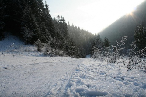 Kliknij na zdjęcie, żeby zobaczyć w pełnych wymiarach