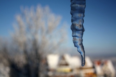 Kliknij na zdjęcie, żeby zobaczyć w pełnych wymiarach