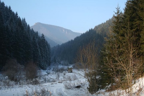 Kliknij na zdjęcie, żeby zobaczyć w pełnych wymiarach