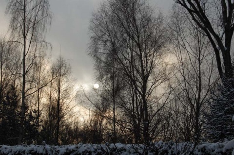 Kliknij na zdjęcie, żeby zobaczyć w pełnych wymiarach