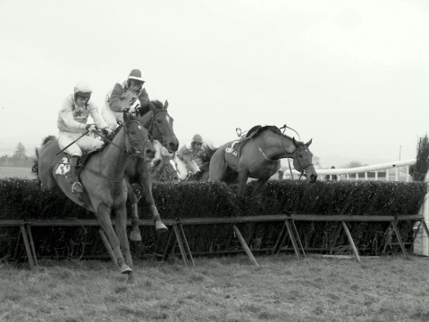 Kliknij na zdjęcie, żeby zobaczyć w pełnych wymiarach