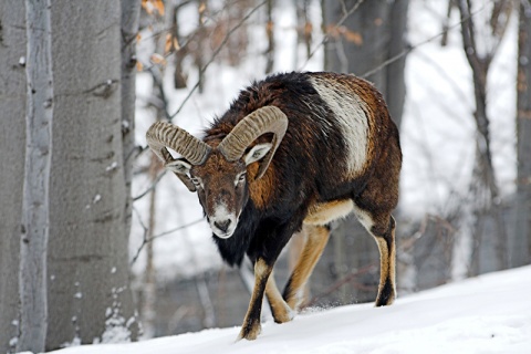 Kliknij na zdjęcie, żeby zobaczyć w pełnych wymiarach
