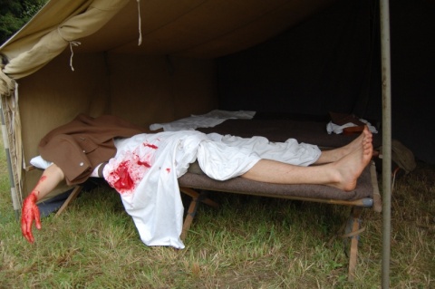 Kliknij na zdjęcie, żeby zobaczyć w pełnych wymiarach