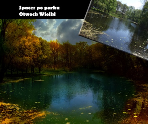 Kliknij na zdjęcie, żeby zobaczyć w pełnych wymiarach