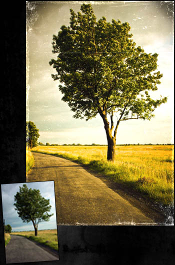 Kliknij na zdjęcie, żeby zobaczyć w pełnych wymiarach