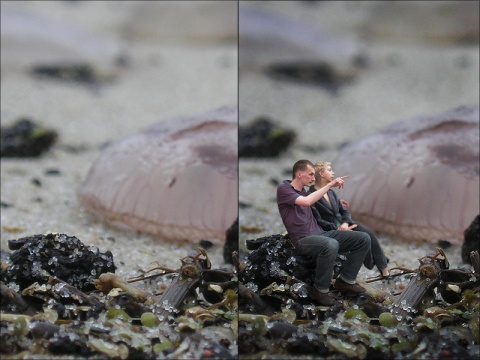 Kliknij na zdjęcie, żeby zobaczyć w pełnych wymiarach