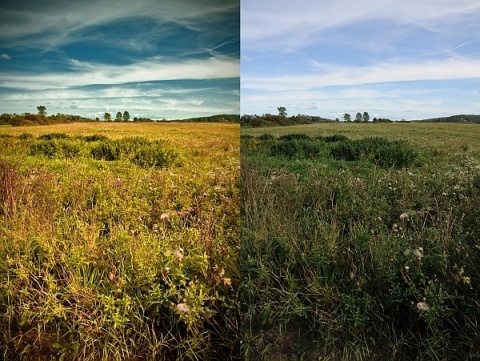 Kliknij na zdjęcie, żeby zobaczyć w pełnych wymiarach