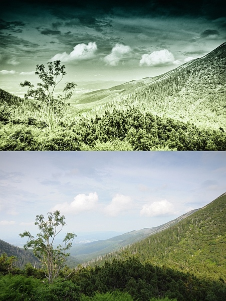 Kliknij na zdjęcie, żeby zobaczyć w pełnych wymiarach