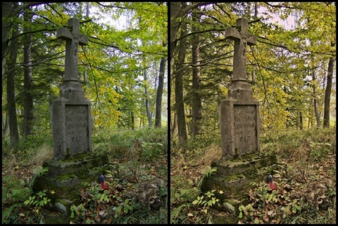 Kliknij na zdjęcie, żeby zobaczyć w pełnych wymiarach