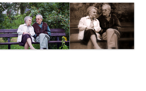 Kliknij na zdjęcie, żeby zobaczyć w pełnych wymiarach